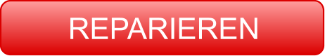 REPARIEREN